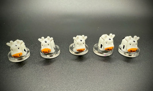 Mini Cows